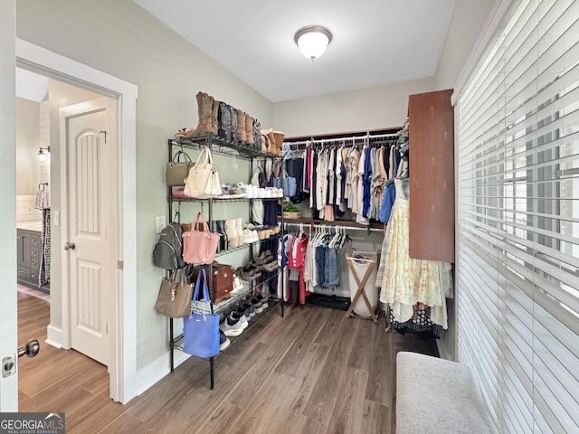 150 Fauna Meadows Dr, Newnan, GA 30263 - spacious closet with wood finished floors