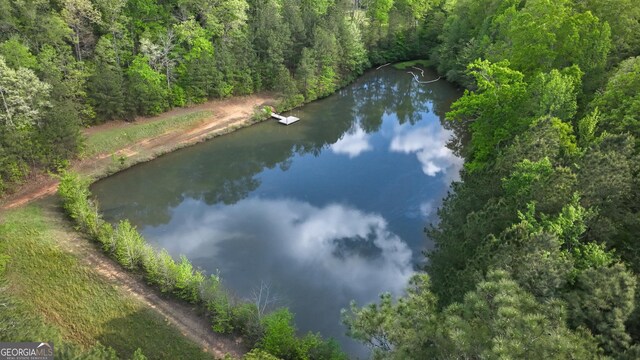 150 Fauna Meadows Dr, Newnan, GA 30263 - bird's eye view of a heavily wooded area and a nearby body of water