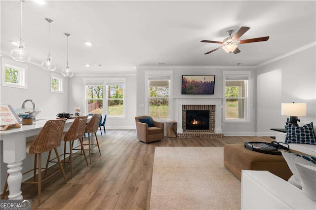 4038 Andover Cir, Mcdonough, GA 30252 - living area with baseboards, plenty of natural light, light wood-type flooring, a ceiling fan, and crown molding