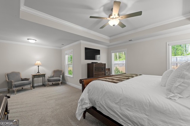 3087 Mountain Shadow Way, Marietta, GA 30064 - bedroom with a tray ceiling, carpet flooring, ornamental molding, and multiple windows