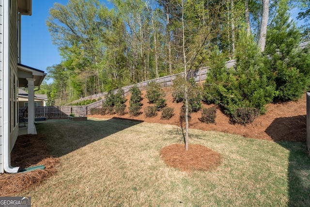 3087 Mountain Shadow Way, Marietta, GA 30064 - view of yard with a fenced backyard