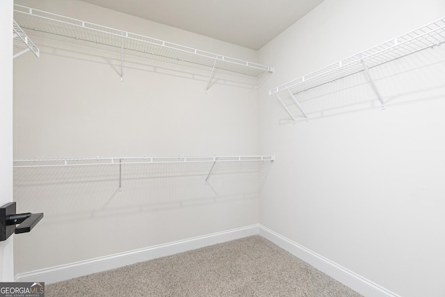 383 Cantrell Dr, Dallas, GA 30157 - spacious closet featuring carpet flooring