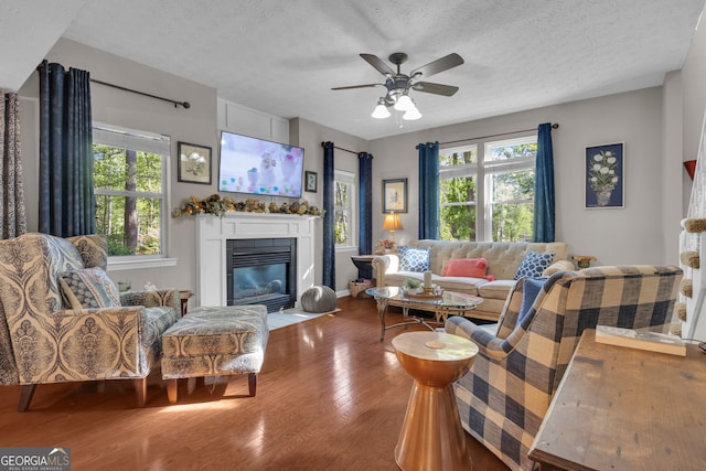 living room with ceiling fan, a wealth of natural light, a fireplace with flush hearth, and wood finished floors
