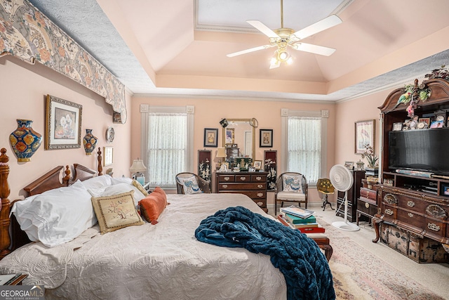 110 Emerald Dr, Mcdonough, GA 30253 - bedroom featuring a tray ceiling, carpet flooring, and multiple windows