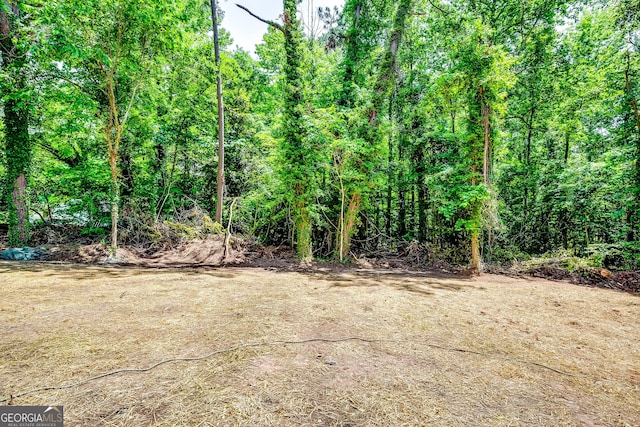 3244 Mount Olive Rd, Atlanta, GA 30344 - view of yard