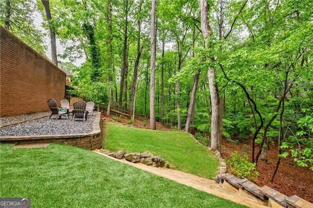 view of yard featuring a patio area