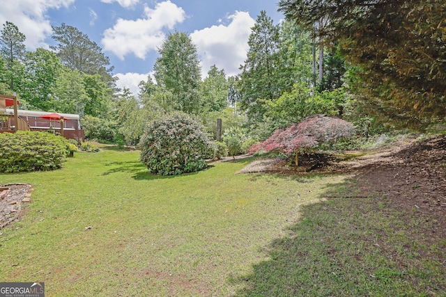 view of grassy yard
