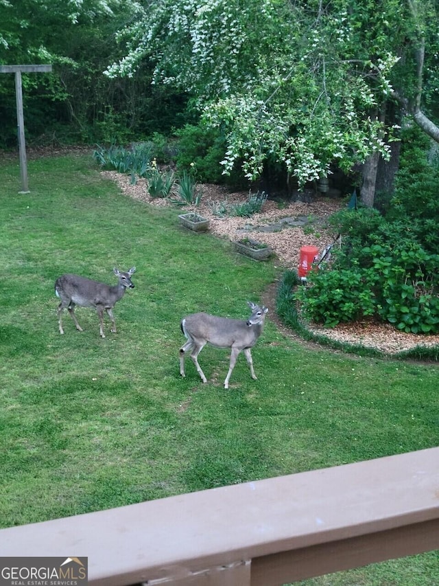 view of grassy yard