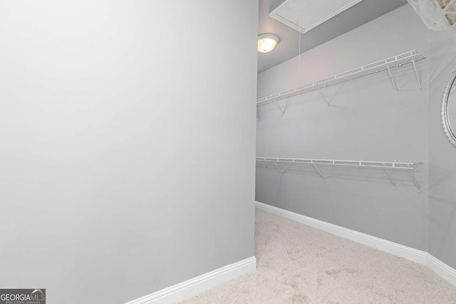 spacious closet with attic access and carpet flooring