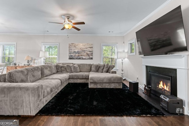 6424 Barker Station Walk, Sugar Hill, GA 30518 - living room featuring ceiling fan, plenty of natural light, a glass covered fireplace, hardwood / wood-style floors, and ornamental molding