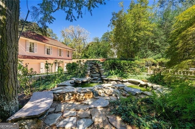 view of yard with a small pond
