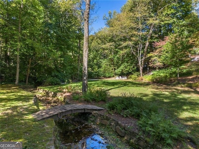 view of yard featuring a wooded view