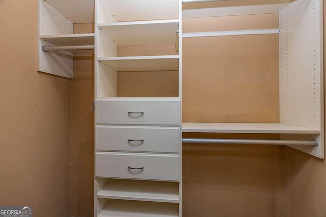 view of spacious closet