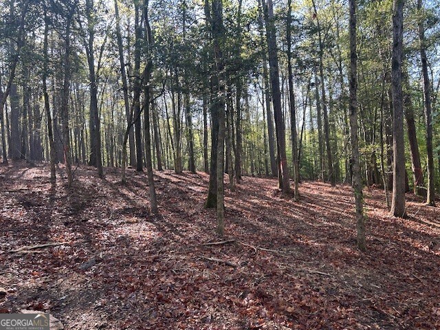 0 Bullock Bridge Rd Unit 6, Monroe, GA 30656