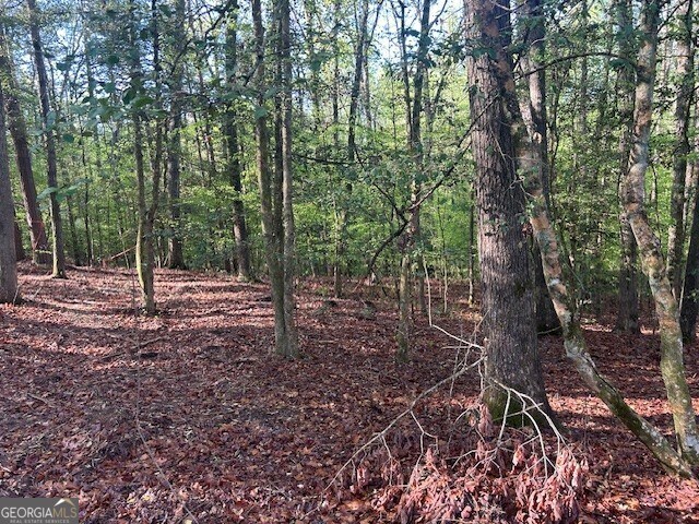 0 Bullock Bridge Rd Unit 6, Monroe, GA 30656