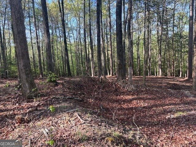 0 Bullock Bridge Rd Unit 6, Monroe, GA 30656