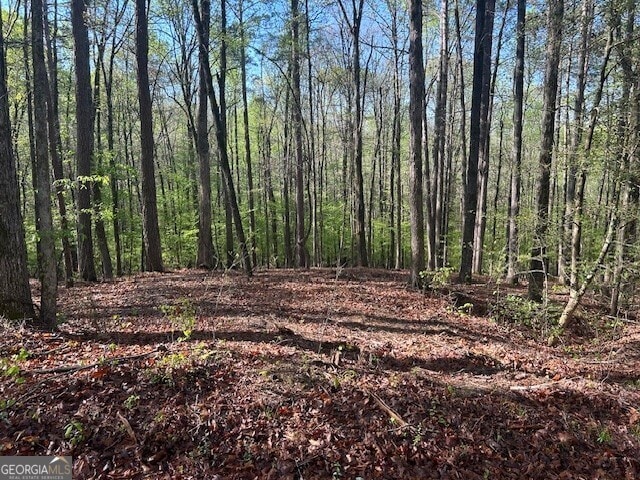 0 Bullock Bridge Rd Unit 6, Monroe, GA 30656