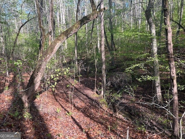 0 Bullock Bridge Rd Unit 6, Monroe, GA 30656