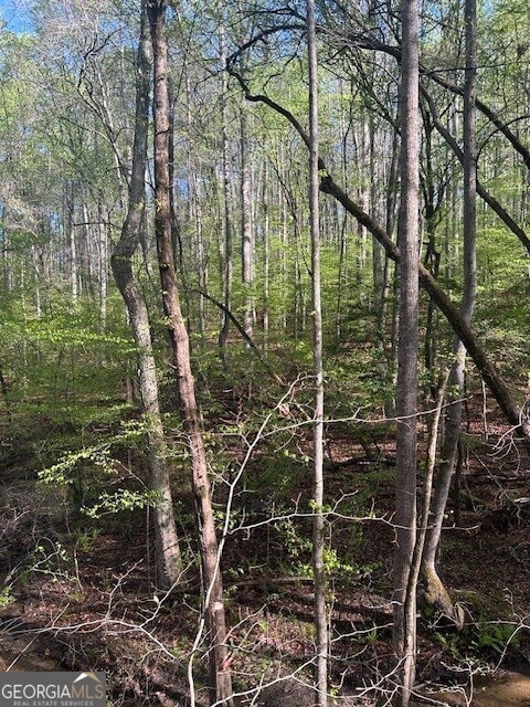 0 Bullock Bridge Rd Unit 6, Monroe, GA 30656