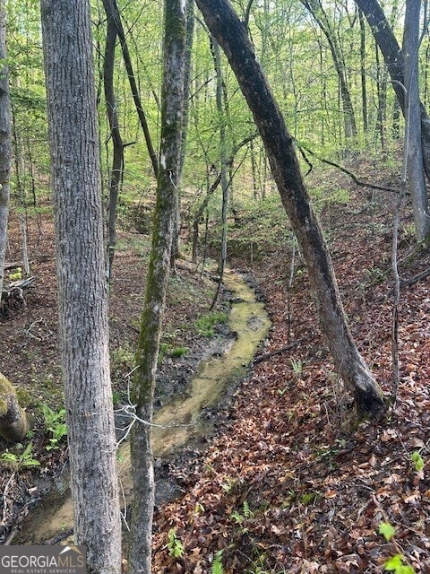 0 Bullock Bridge Rd Unit 6, Monroe, GA 30656