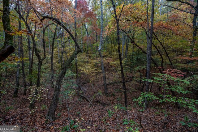 0 Bullock Bridge Rd Unit 6, Monroe, GA 30656