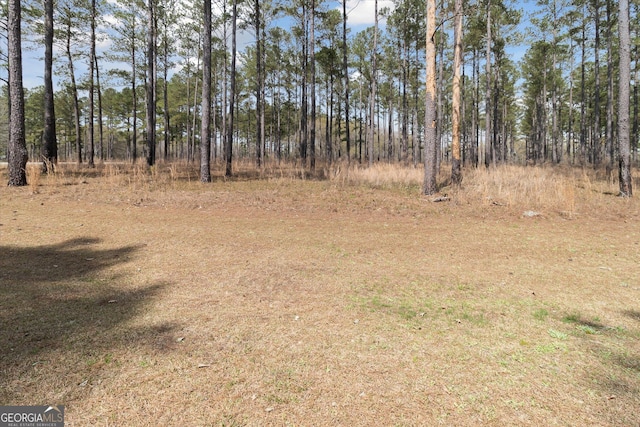 14 Pine Ridge Dr, Claxton, GA 30417