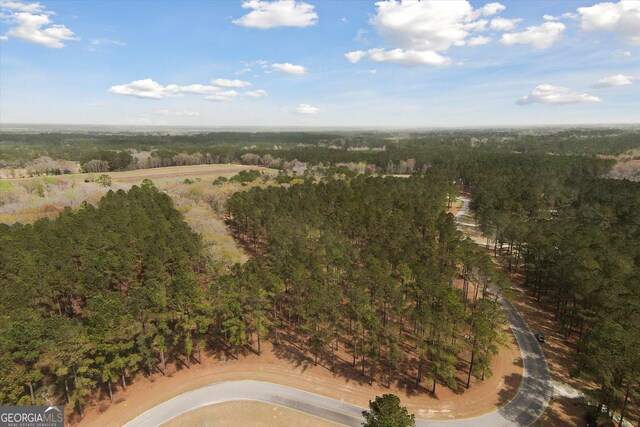 14 Pine Ridge Dr, Claxton, GA 30417