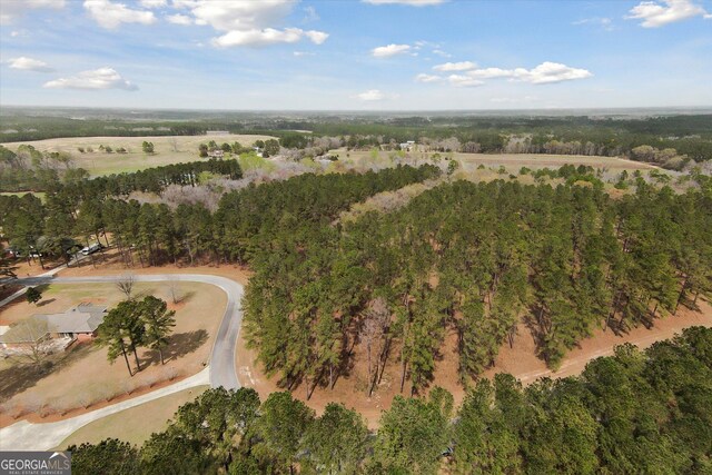 14 Pine Ridge Dr, Claxton, GA 30417