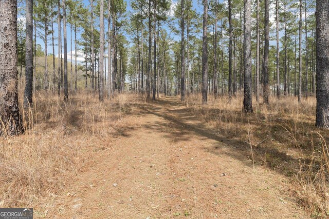 14 Pine Ridge Dr, Claxton, GA 30417