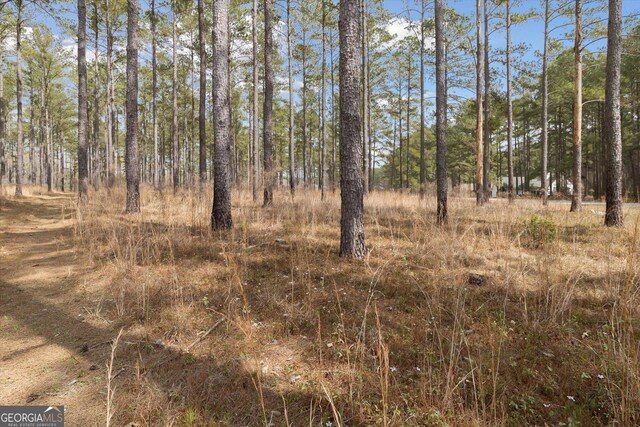 14 Pine Ridge Dr, Claxton, GA 30417