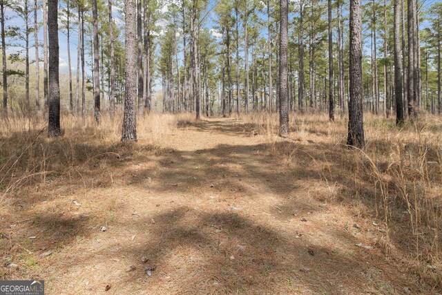 14 Pine Ridge Dr, Claxton, GA 30417