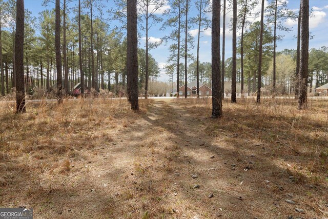 14 Pine Ridge Dr, Claxton, GA 30417
