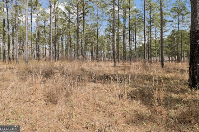 14 Pine Ridge Dr, Claxton, GA 30417