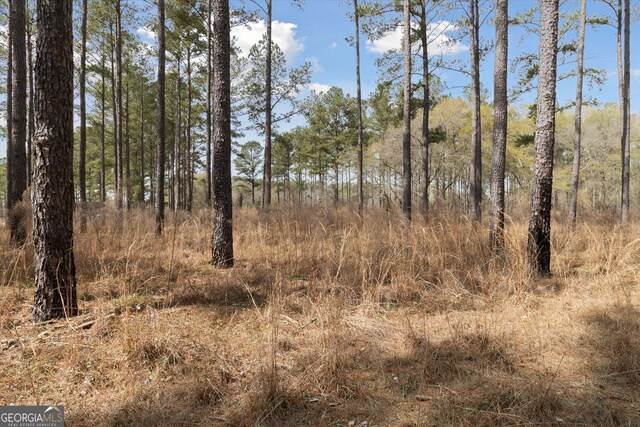 14 Pine Ridge Dr, Claxton, GA 30417