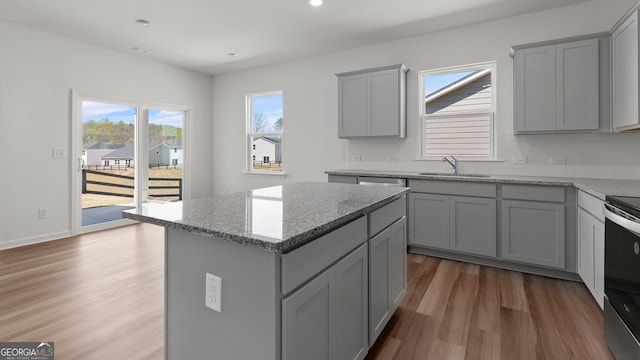 kitchen featuring a sink, tasteful backsplash, gray cabinetry, and wood finished floors