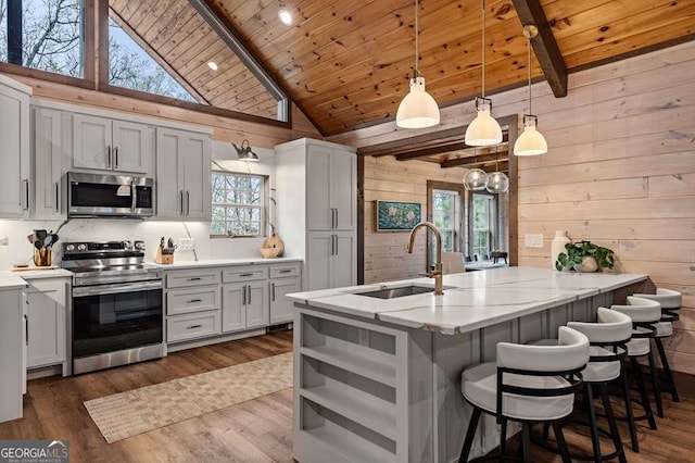 kitchen featuring plenty of natural light, wooden walls, stainless steel appliances, wood ceiling, and a sink