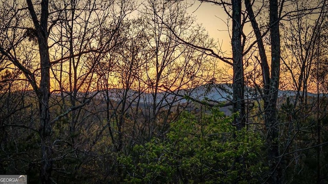 view of mountain feature with a forest view