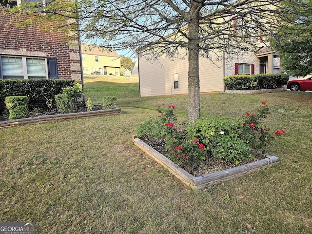 view of yard featuring a garden