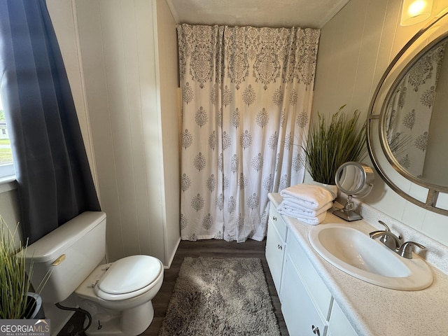 bathroom featuring toilet, vanity, and wood finished floors