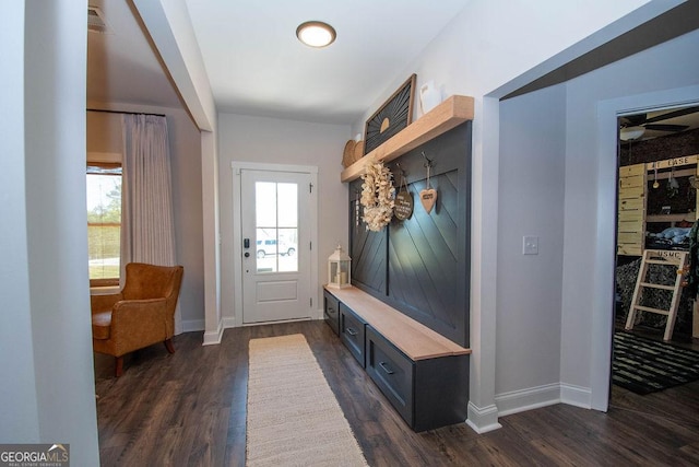 mudroom with dark wood-style flooring, baseboards, and a healthy amount of sunlight