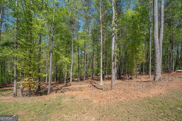 view of local wilderness featuring a wooded view