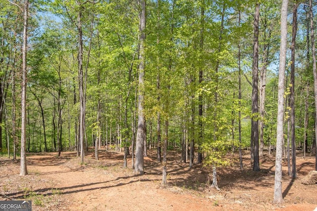 view of local wilderness featuring a forest view