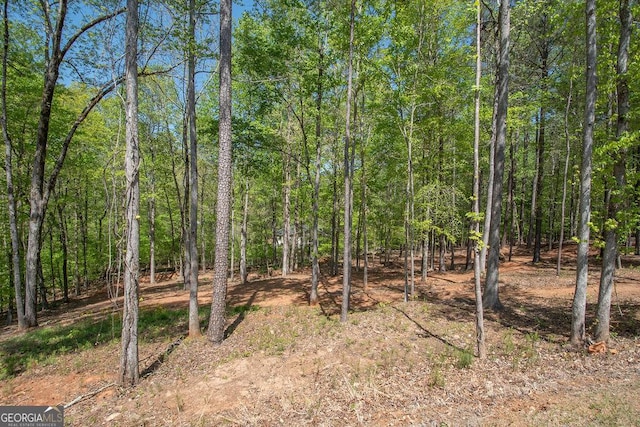 view of landscape with a wooded view