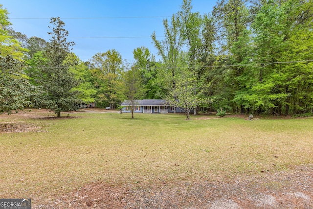 324 County Line Rd, Fayetteville, GA 30215 - view of yard