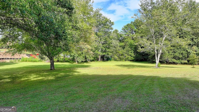 5680 Abbotts Bridge Rd, Johns Creek, GA 30097 - view of yard