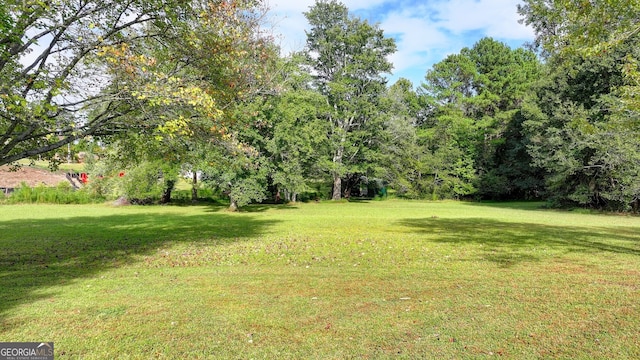 5680 Abbotts Bridge Rd, Johns Creek, GA 30097 - view of yard