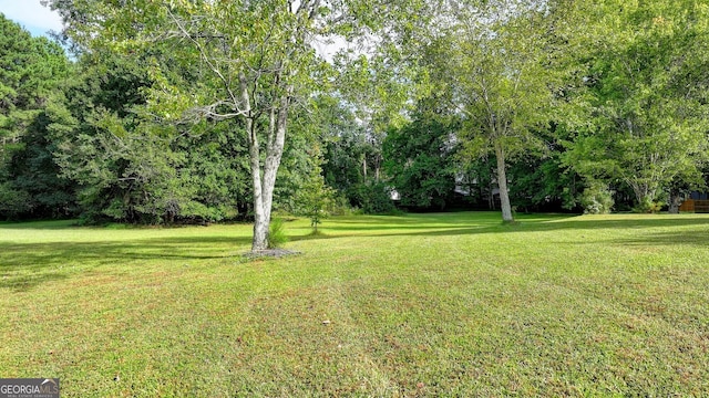 5680 Abbotts Bridge Rd, Johns Creek, GA 30097 - view of yard