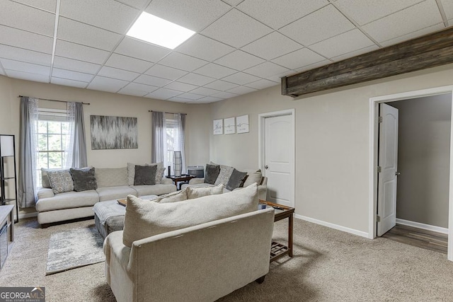 living area featuring baseboards, a drop ceiling, and carpet