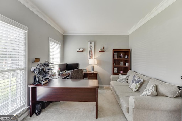 office space featuring crown molding and carpet