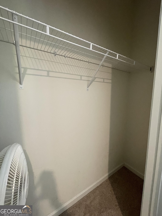 205 Sullivan St, Hampton, GA 30228 - walk in closet featuring carpet